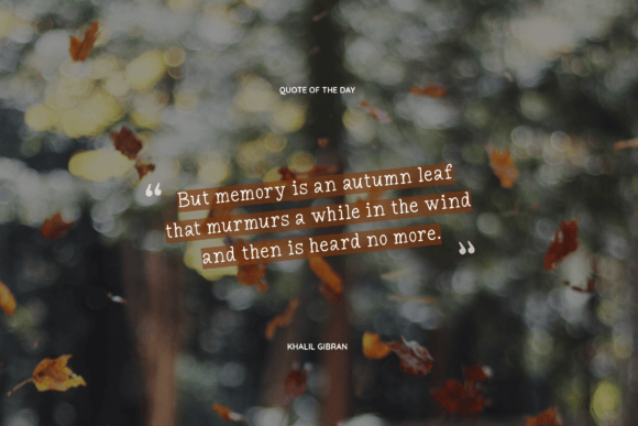 Dreamers Typewriter Font - Preview 5