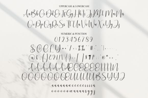 Montage Signature Font PNG with transparent background - Preview 6