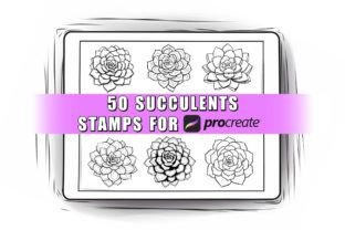 Succulent Procreate Stamps Brushes Graphic by ProcreateSale · Creative ...