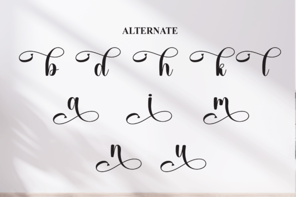 Abuela Font - Preview 6