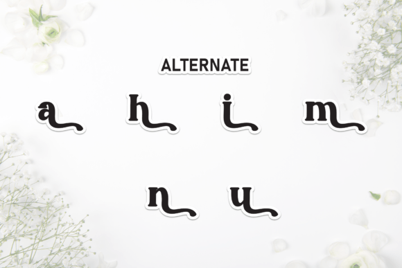 Bolinda Font - Preview 6