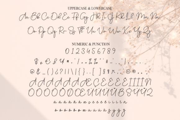 Adelya Font - Preview 6