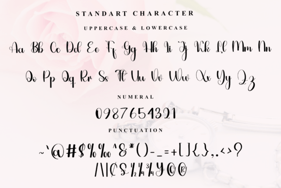 Anybody Font - Preview 4