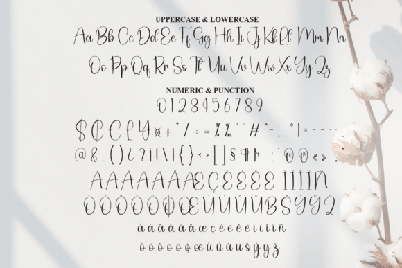 Basthian Font - Preview 6
