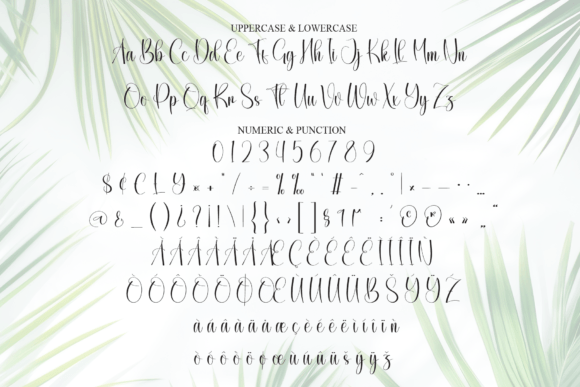 Believe Font - Preview 6