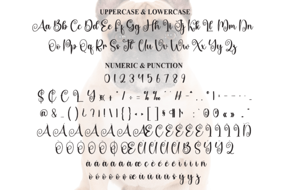 Bulldogs Font - Preview 6