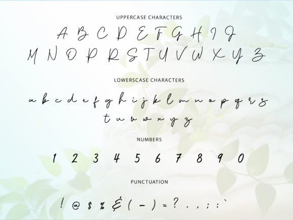 Caliosata Font - Preview 4