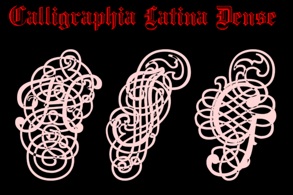 Calligraphia Latina Dense Font - Preview 1