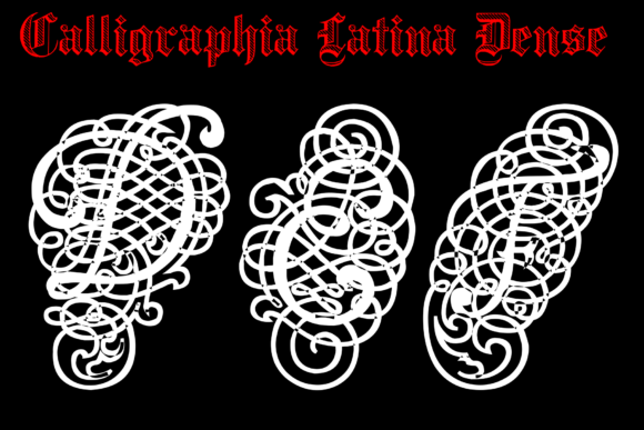 Calligraphia Latina Dense Font - Preview 3