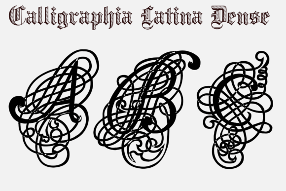 Calligraphia Latina Dense Font - Preview 4