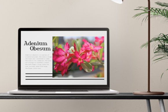 Cheek Flower Font - Preview 1