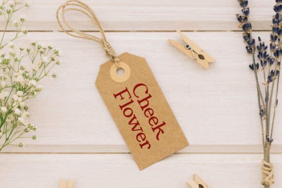 Cheek Flower Font - Preview 6