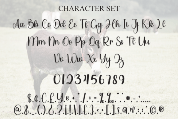 Donkey Font - Preview 4