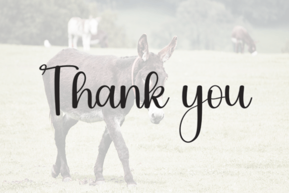 Donkey Font - Preview 6