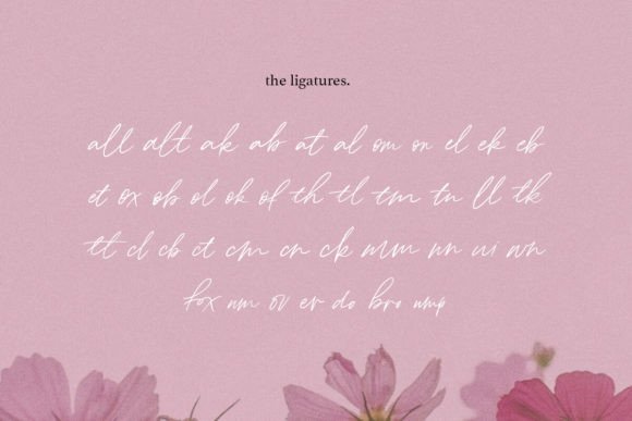 Lovely Britney Font PNG with transparent background - Preview 6