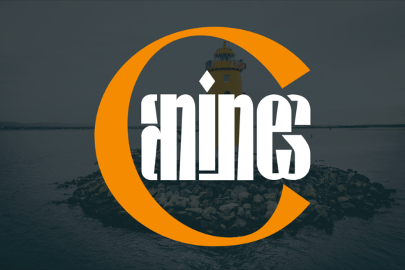 Qualifying Conditions Font PNG with transparent background - Preview 2