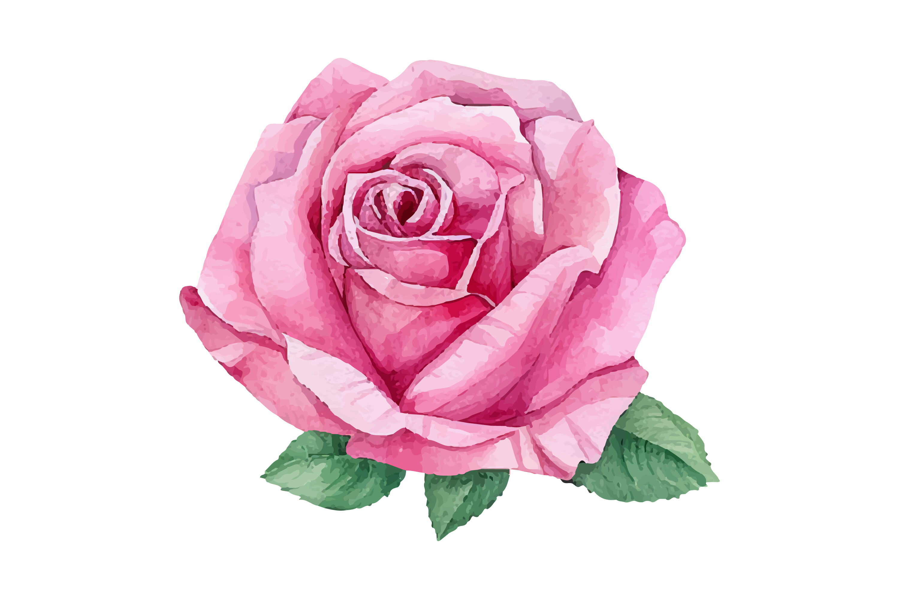 Watercolor Romantic Pink Rose Flower Graphic by Nayem Khan · Creative ...