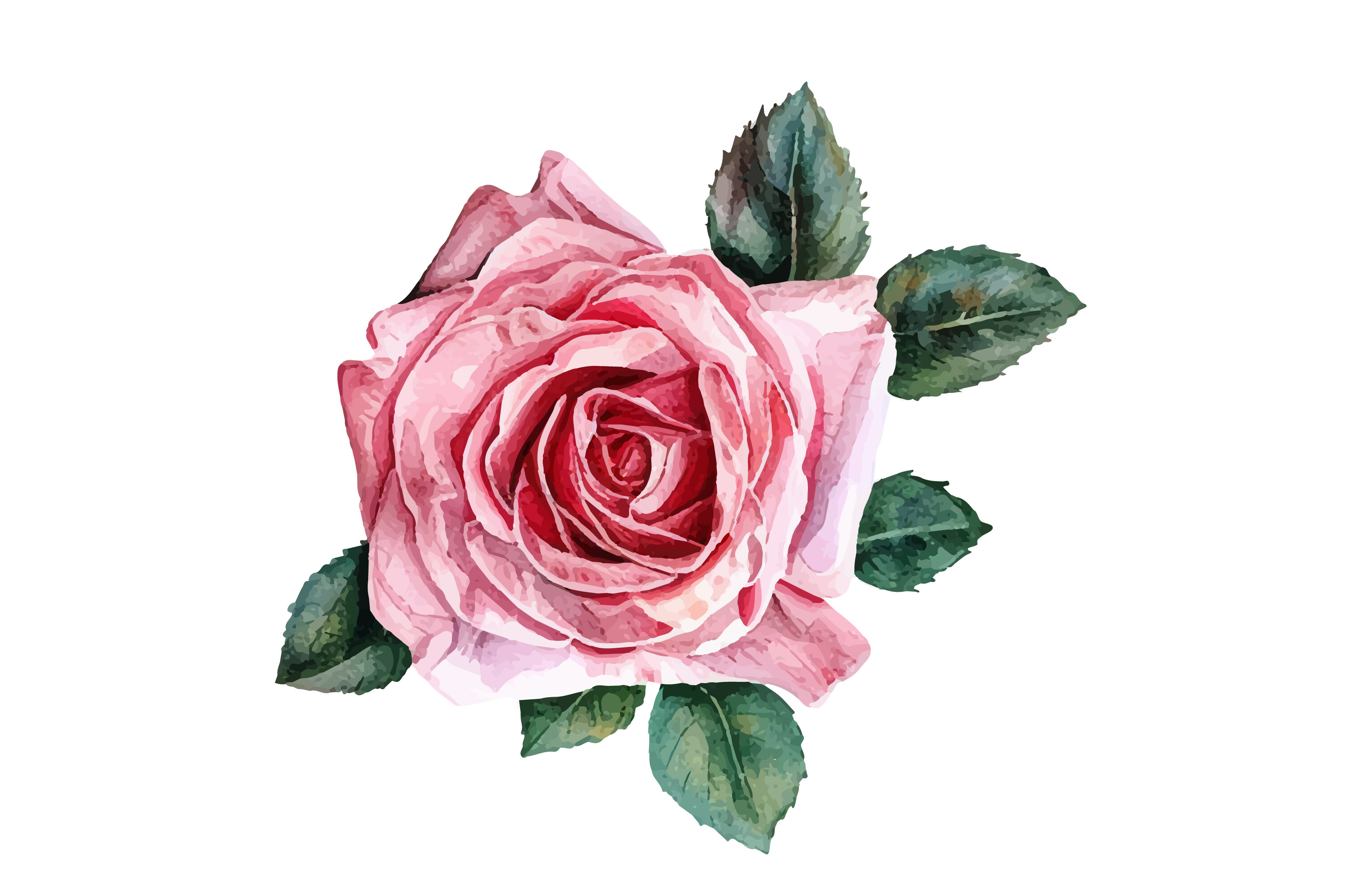 Watercolor Romantic Pink Rose Flower Graphic by Nayem Khan · Creative ...