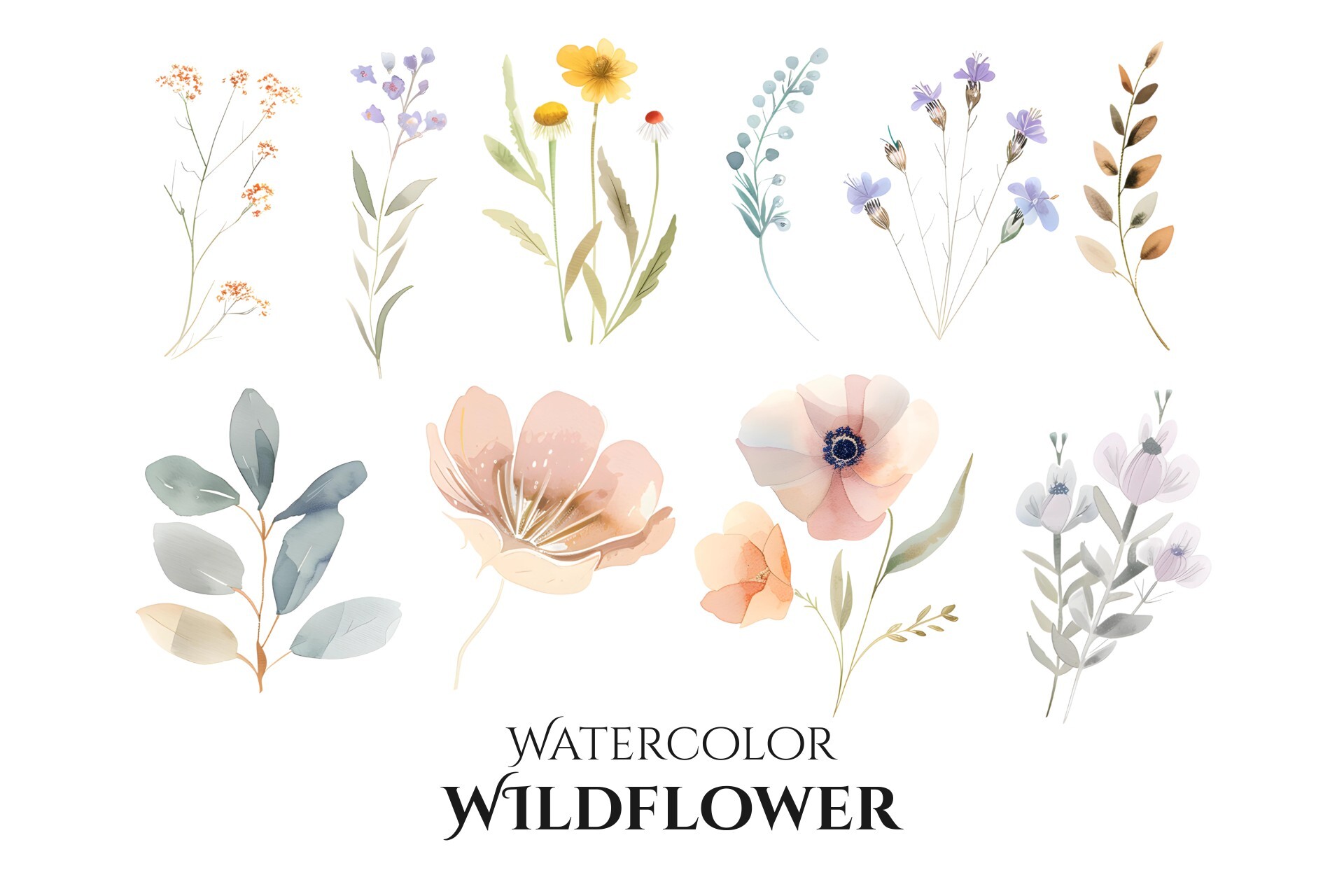 Watercolor Wildflower Flower Clipart