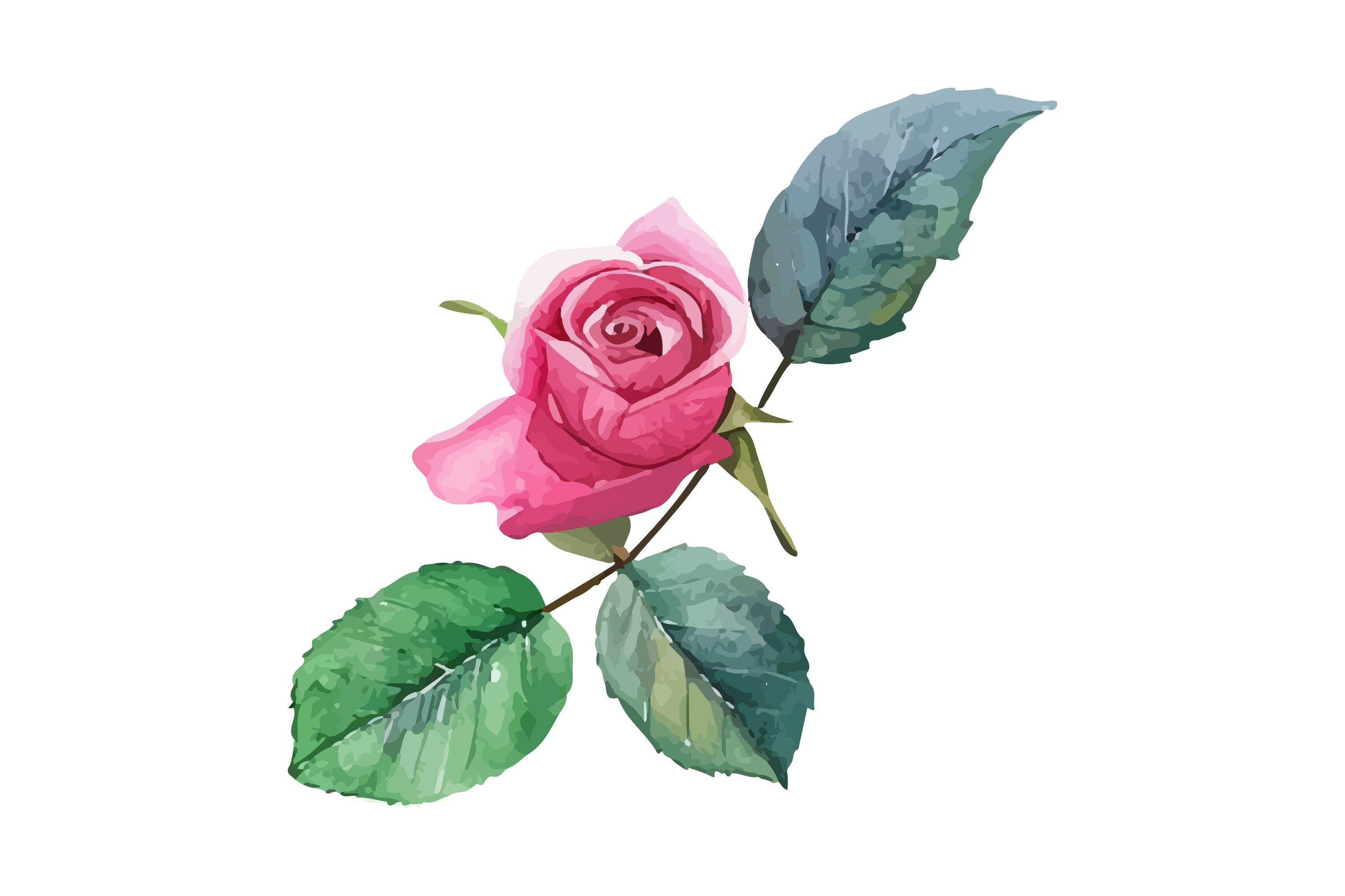 Watercolor Pink Rose Clipart Graphic by Nayem Khan · Creative Fabrica