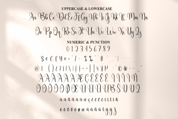 Ainsley Font - Preview 6