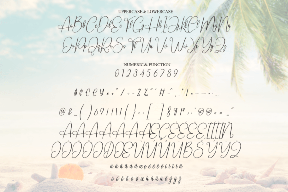 Angel Beach Font - Preview 6