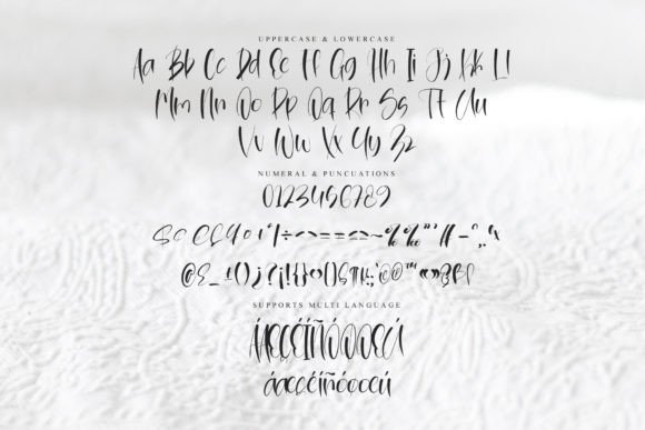 Backside Font - Preview 5