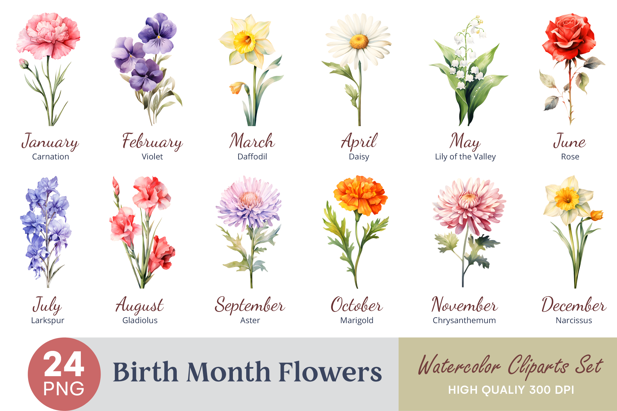 Birth Month Flower Watercolor Clipart