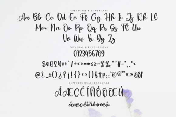 Bushed Font - Preview 5