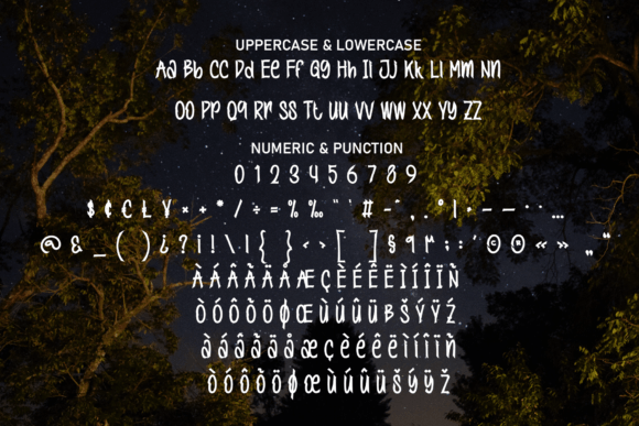 Night Wild Font PNG with transparent background - Preview 6