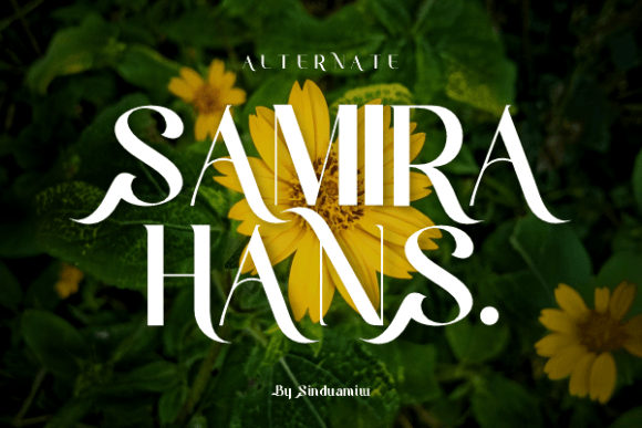Qineliya Rans Font PNG with transparent background - Preview 1