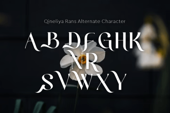 Qineliya Rans Font PNG with transparent background - Preview 3