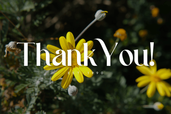 Qineliya Rans Font PNG with transparent background - Preview 4