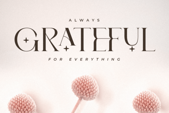 Roomy Font PNG with transparent background - Preview 6