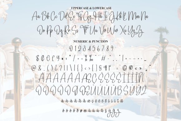 Ceremony Wedding Font PNG with transparent background - Preview 6