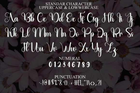 Briefly Font - Preview 2