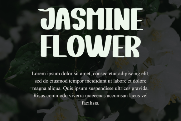 Entertain Font - Preview 6