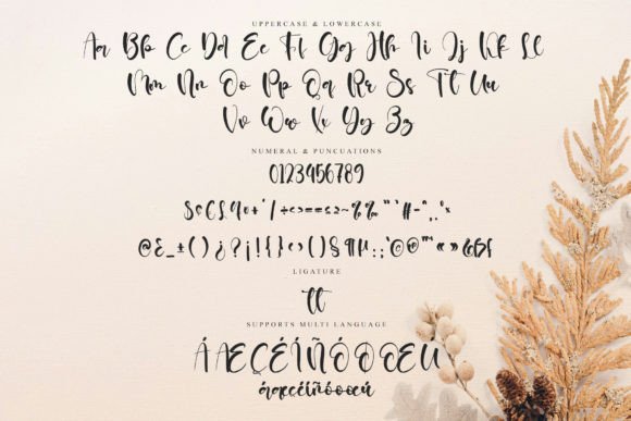 Gladies Wedding Font PNG with transparent background - Preview 5