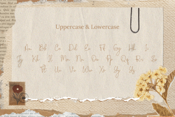Kentara Font PNG with transparent background - Preview 1