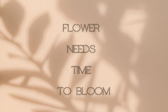 Provender Font PNG with transparent background - Preview 5