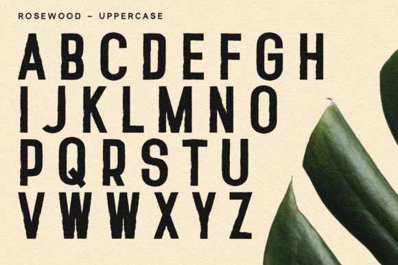 Rosewood Font PNG with transparent background - Preview 3