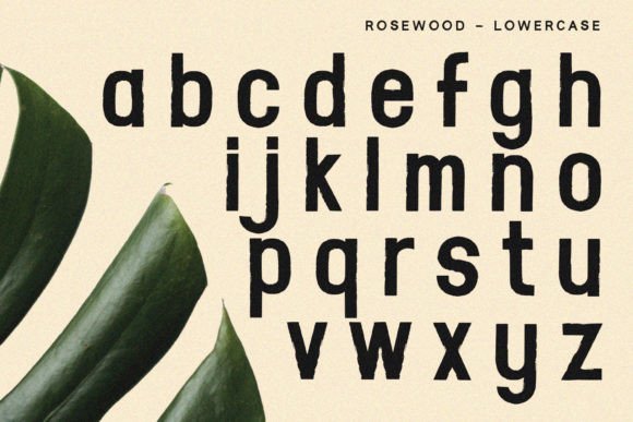 Rosewood Font PNG with transparent background - Preview 5
