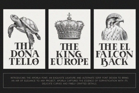 Aporla Font - Preview 4