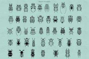 Bugs Procreate Stamps Graphic by DervikArtStore · Creative Fabrica
