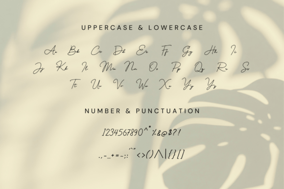 Singakur Font PNG with transparent background - Preview 4