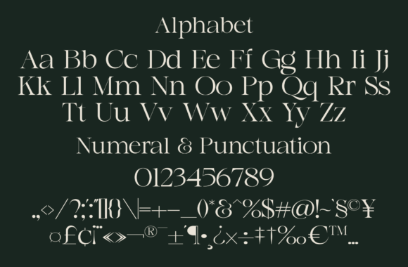 Agista Display Font - Preview 3