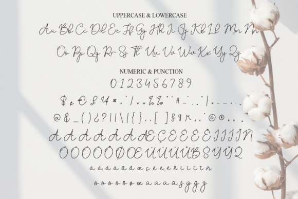 Adelya Font - Preview 6