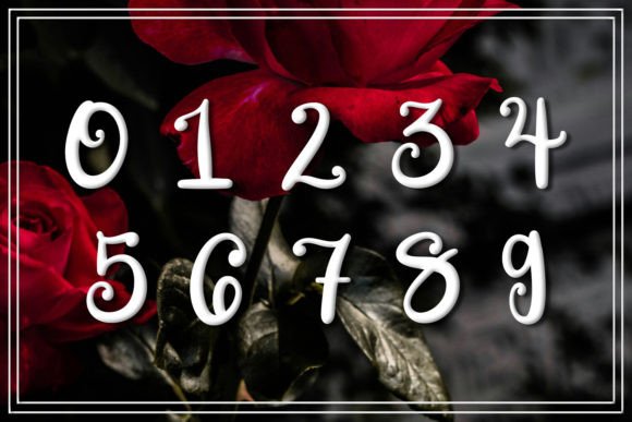 Enchanted Rose Font - Preview 3