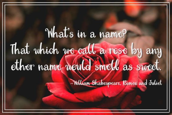 Enchanted Rose Font - Preview 6