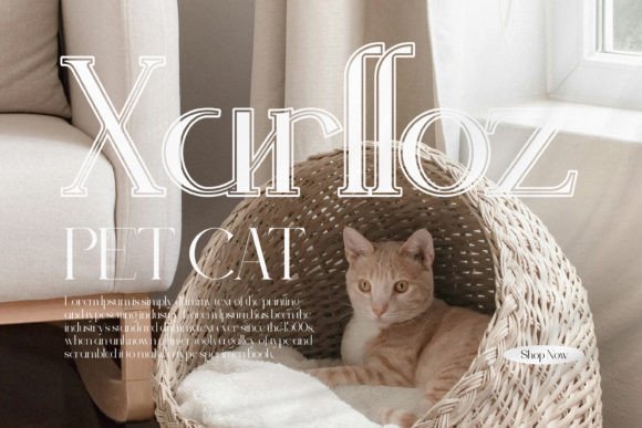 Sharela Font PNG with transparent background - Preview 2
